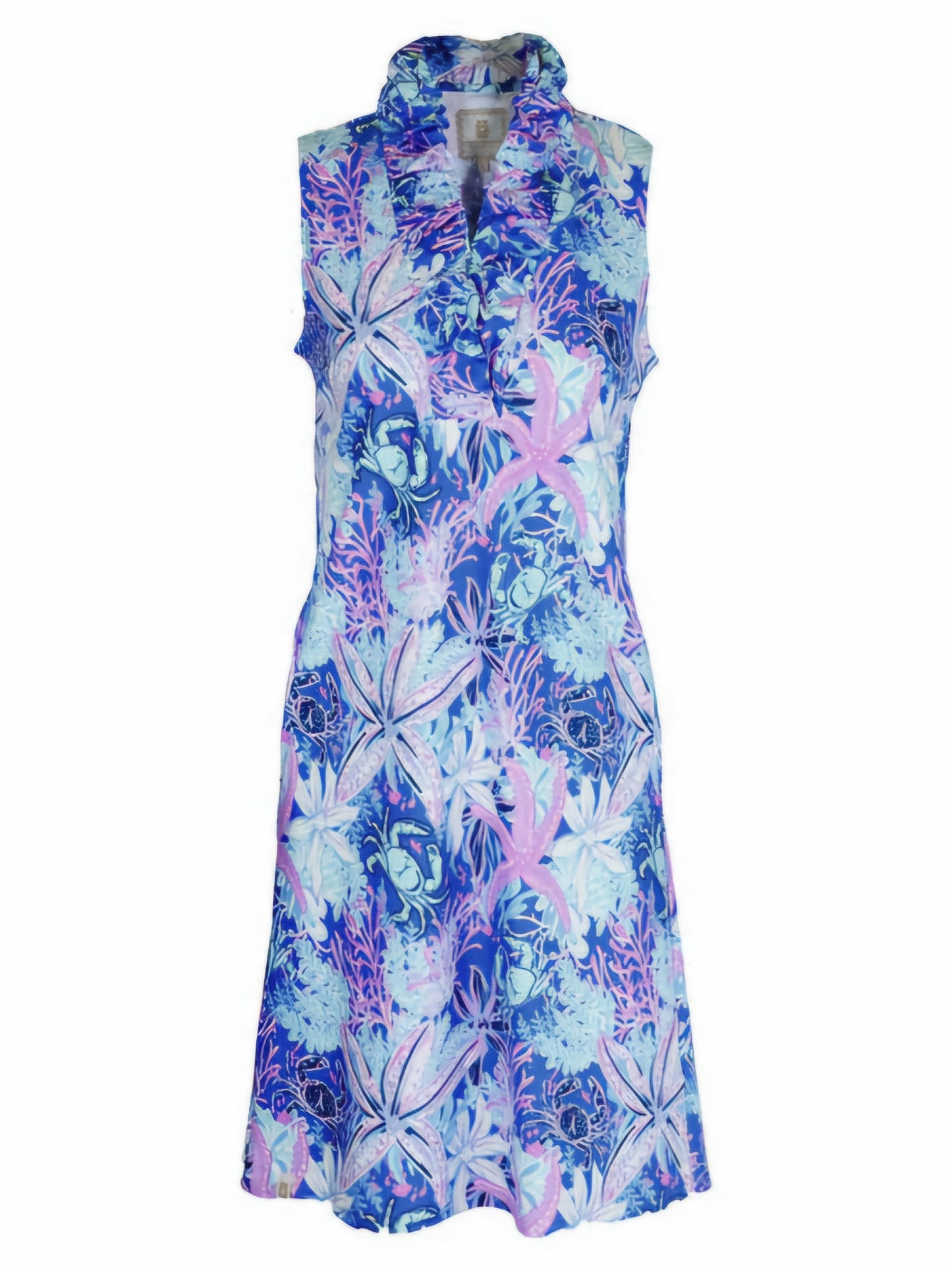 0125-DRS-RFLNCK-REEF