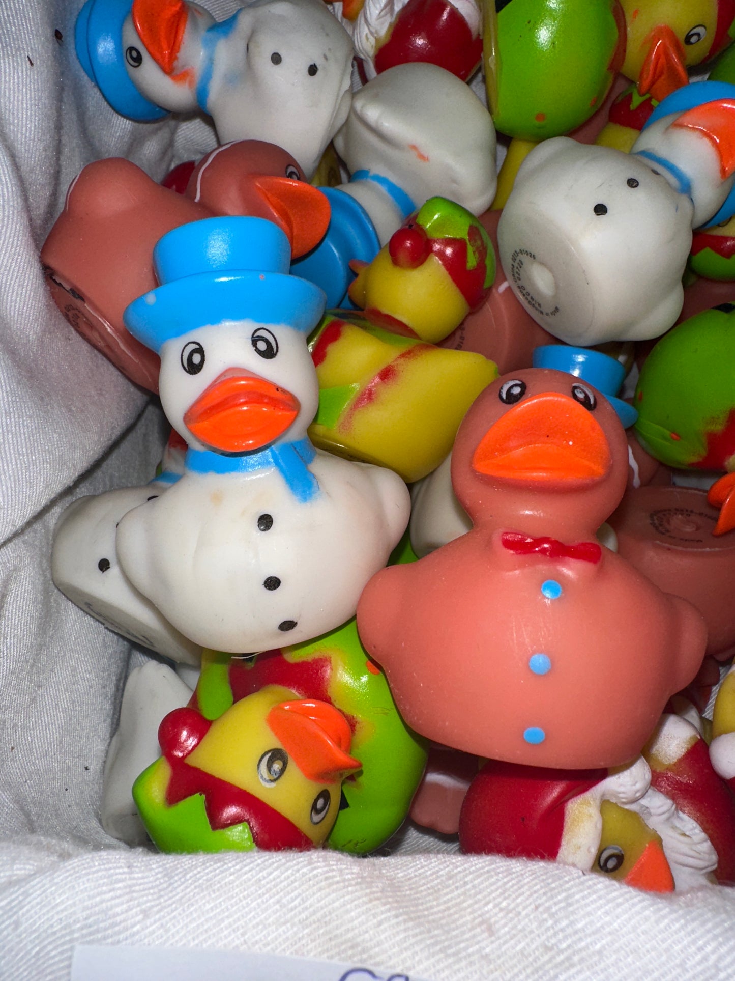 Jeannie's Ducks Rubber Holiday