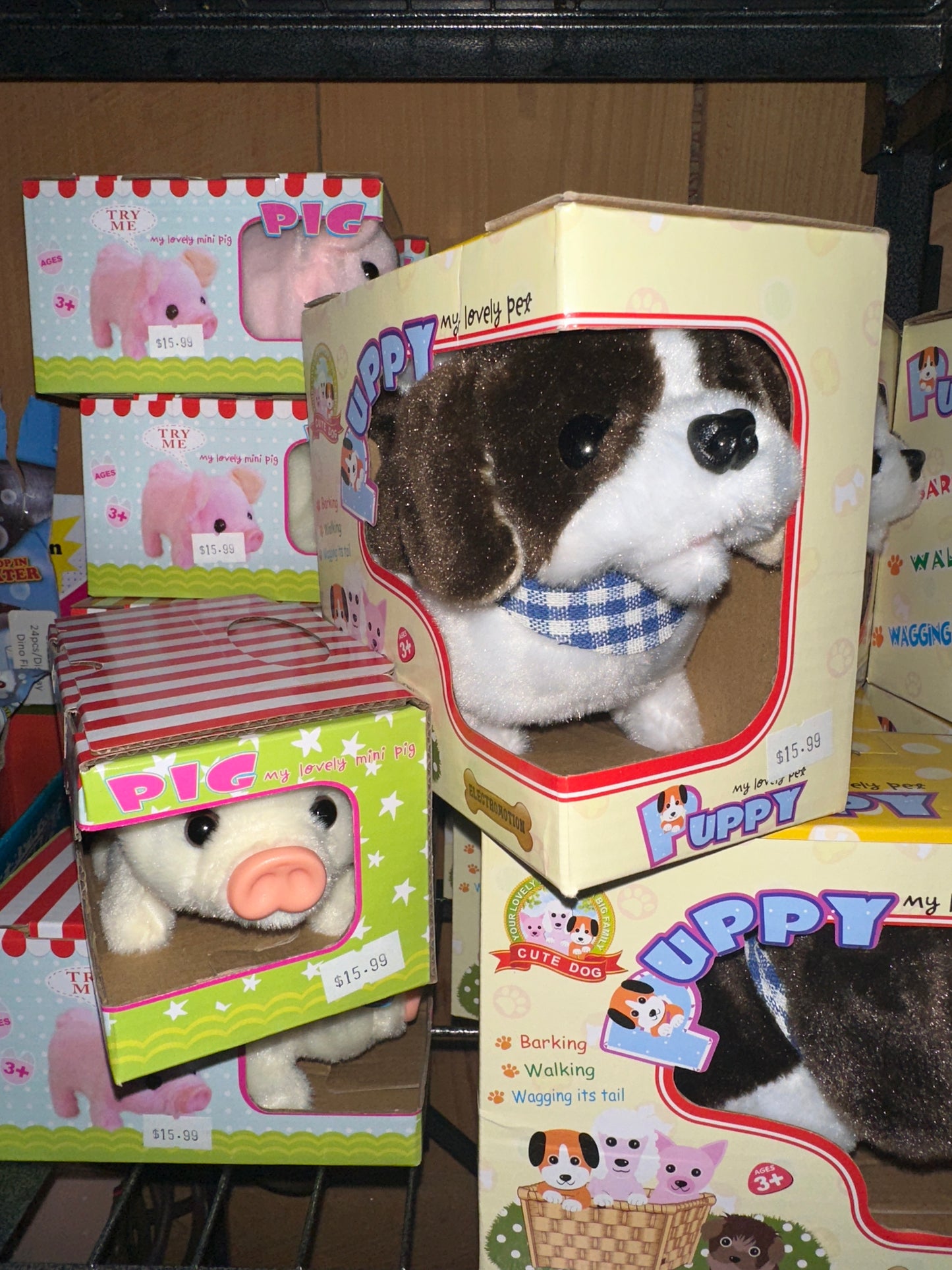 Jeanie's Carry Cases