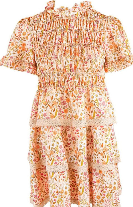 0224-DRS-SMOCK-TANFLD