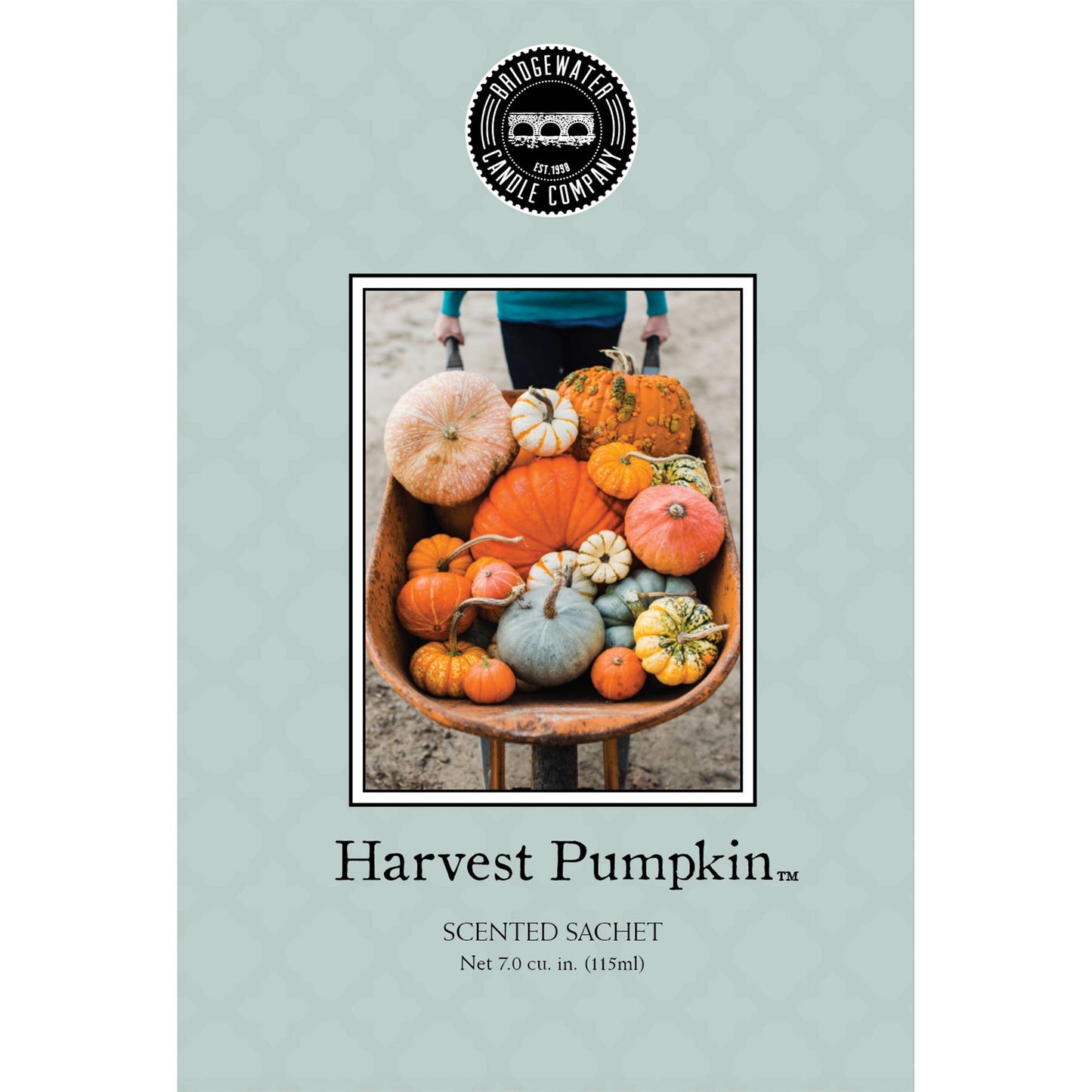 Harvest Pumpkin Sachet 9 Pack