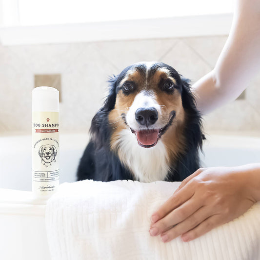 Sweet Almond | Soothing Dog Shampoo