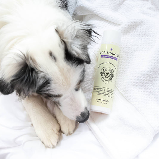 Lavender Vanilla | Soothing Dog Shampoo