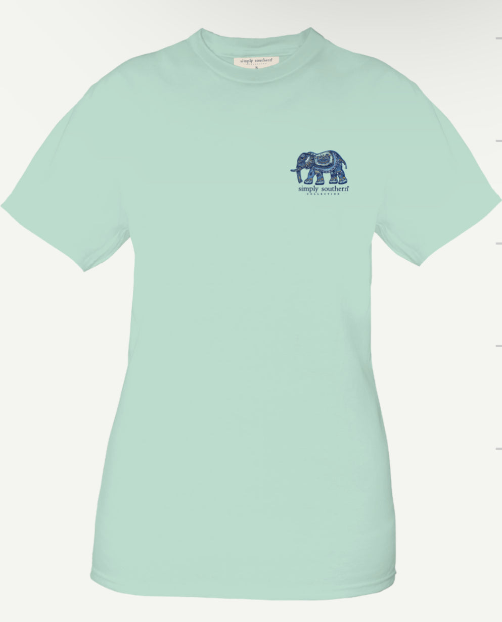 SS-STRONG-CHINCHILLA