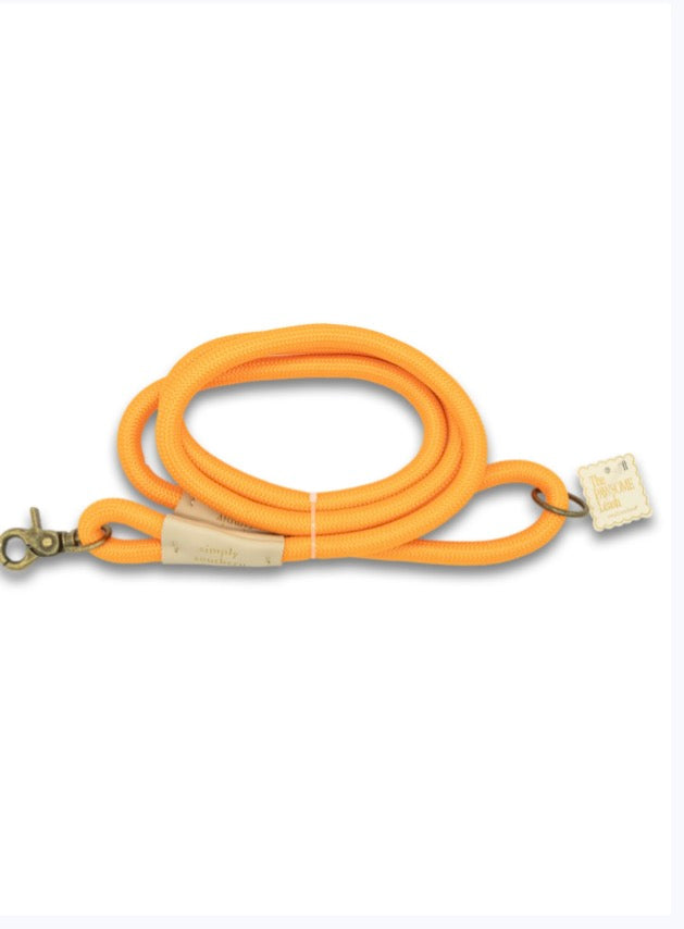 0126-PET-LEASH