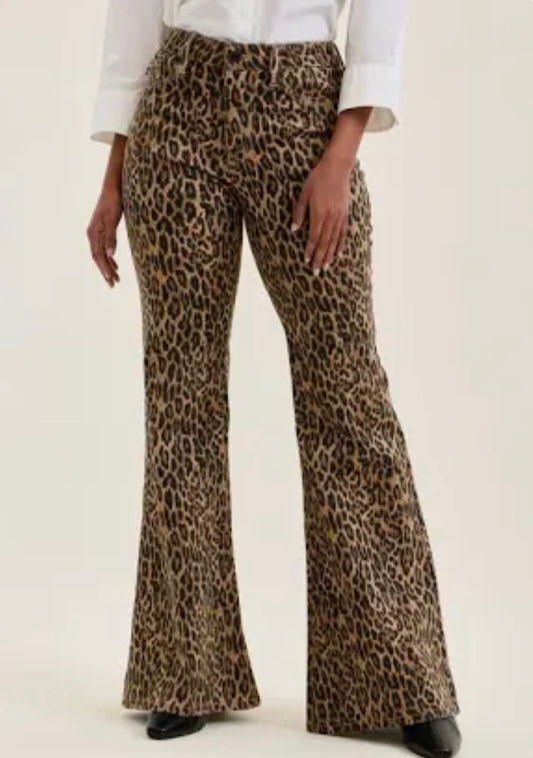 JB 881180 MR JAQUELINE Flare Leopard LUXE