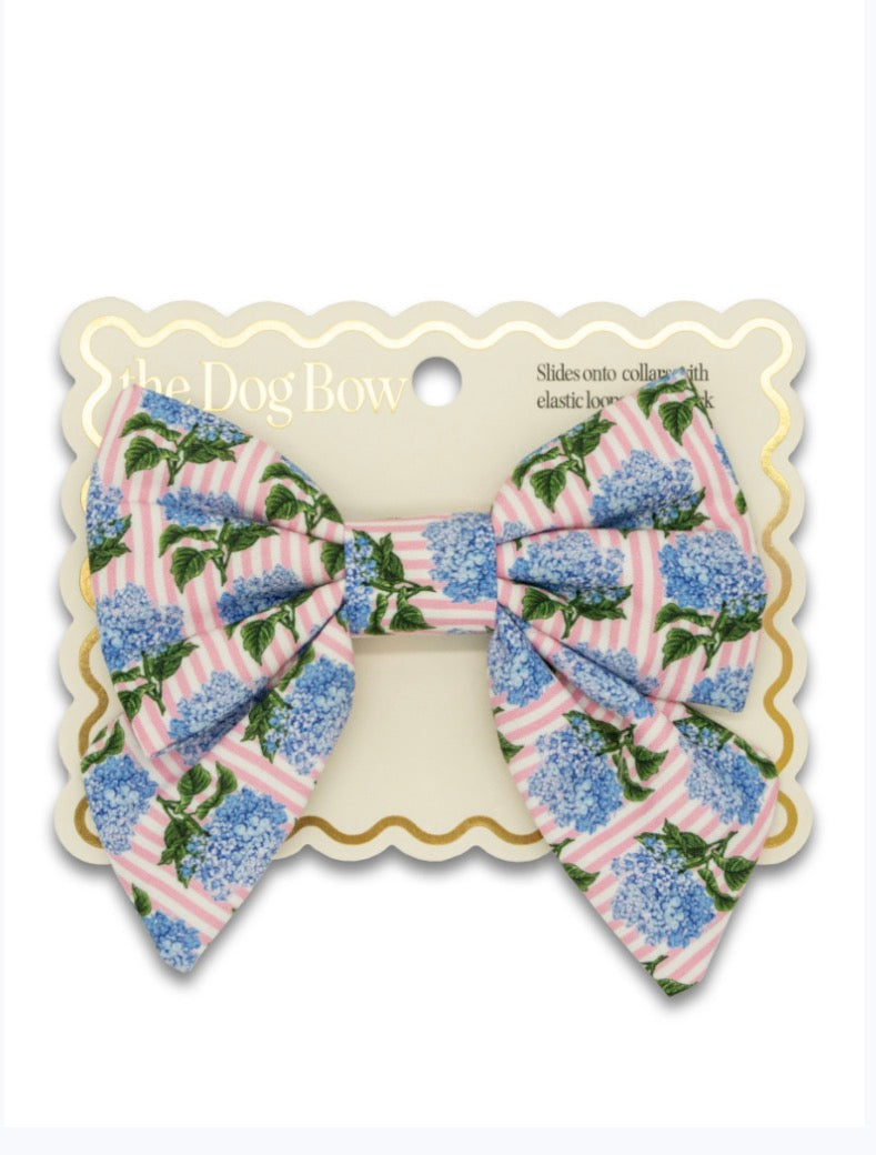 0126-PET-BOW
