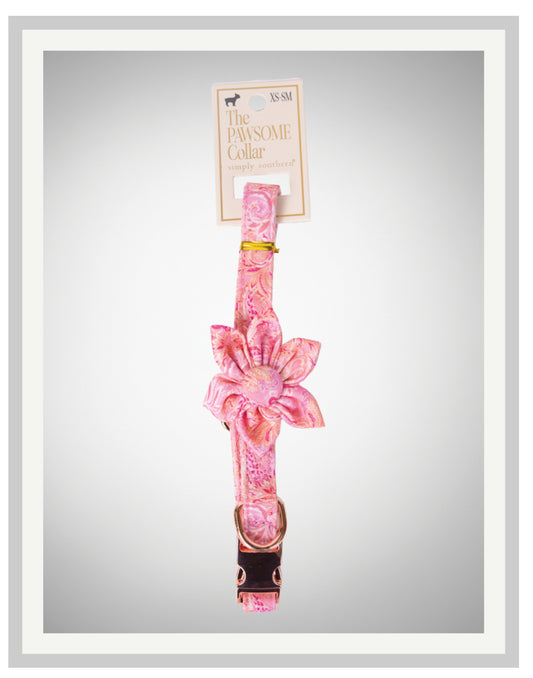 0125-PET-COLLAR-PNKPAIS
