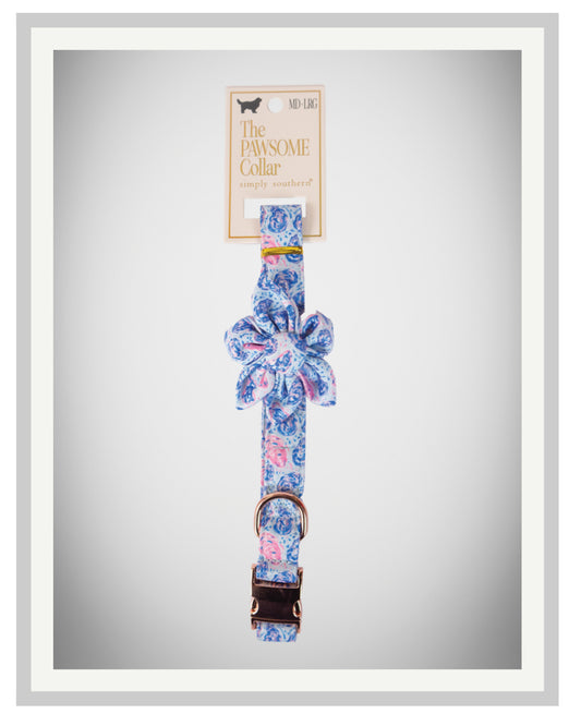 0125-PET-COLLAR-OYSTR