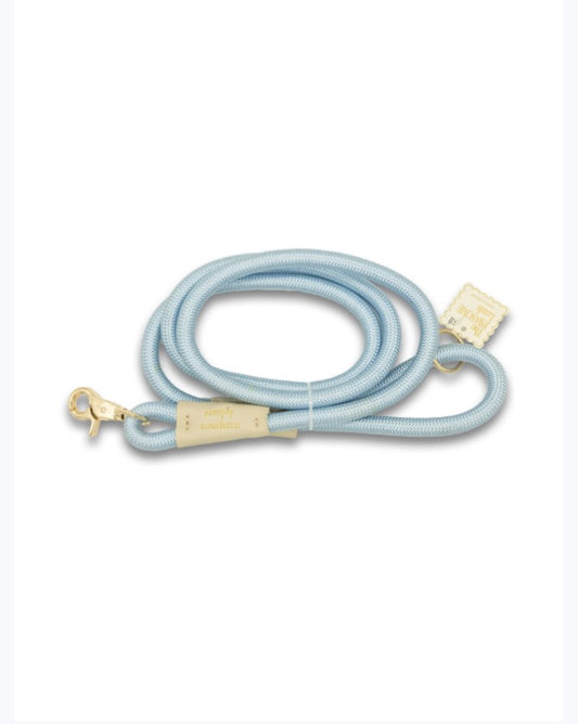 0126-PET-LEASH