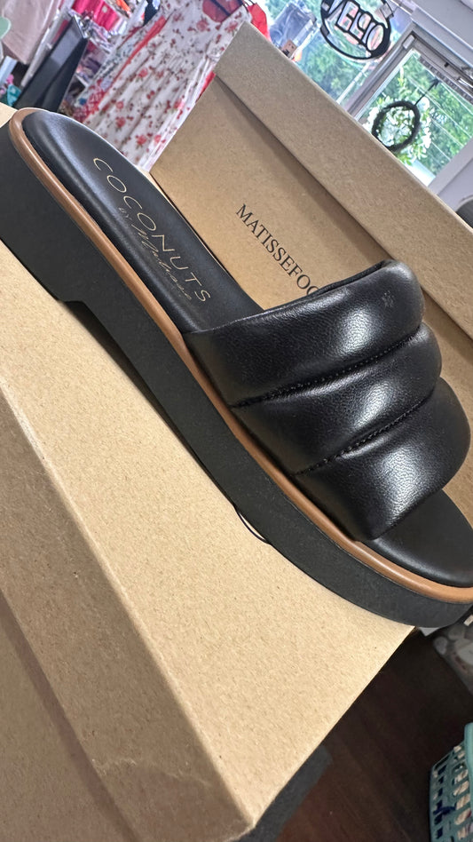 LD Coconuts by Matisse Limits Black