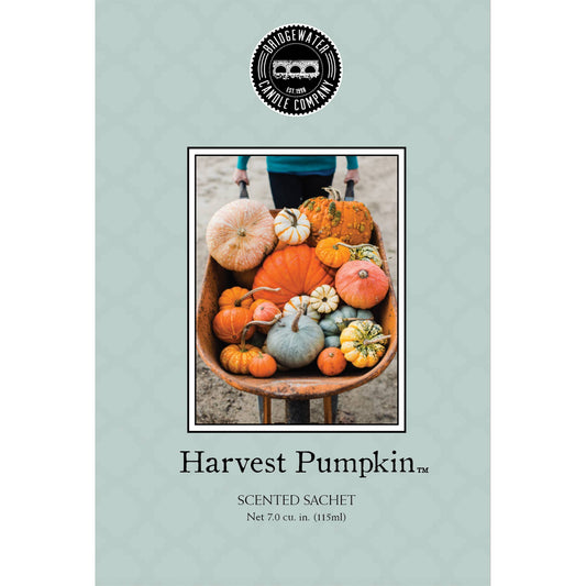 Harvest Pumpkin Sachet 9 Pack