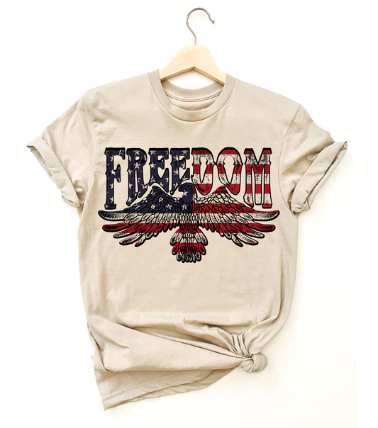 USA Freedom Eagle Vintage Graphic Tee