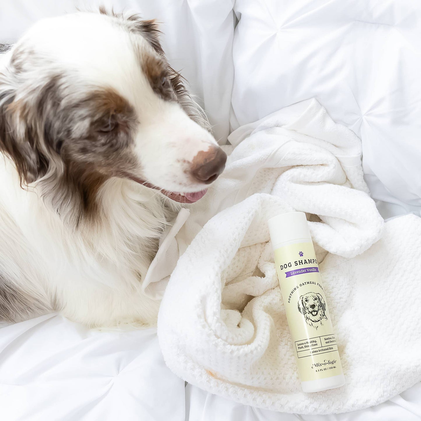 Lavender Vanilla | Soothing Dog Shampoo